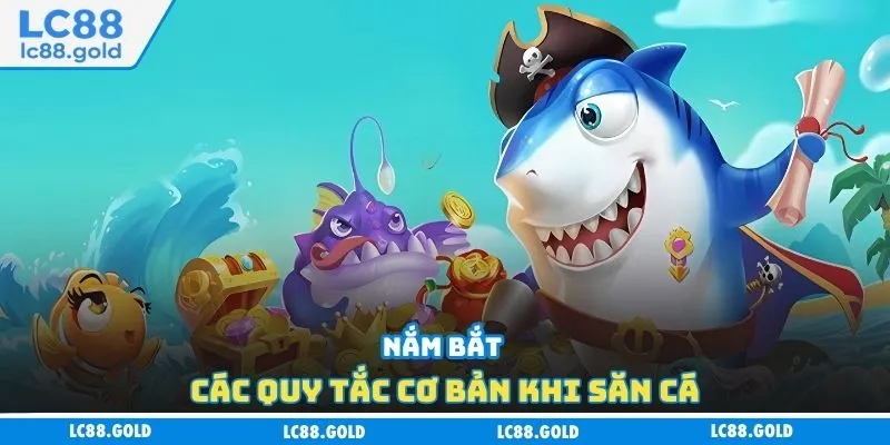 Nắm bắt các quy tắc cơ bản khi săn cá Nắm bắt các quy tắc cơ bản khi săn cá