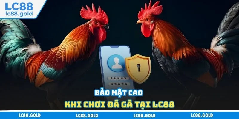 Bảo mật cao khi chơi đá gà tại LC88 Bảo mật cao khi chơi đá gà tại LC88