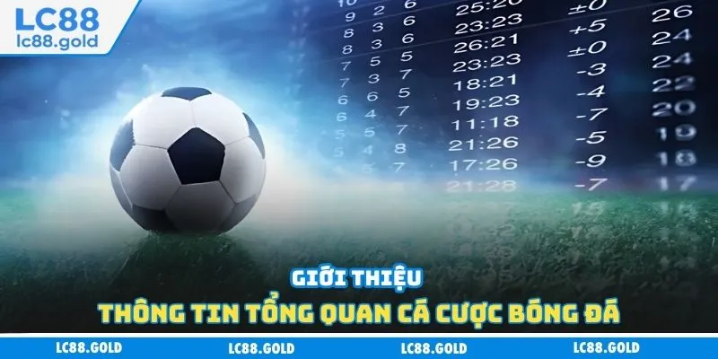 Giới thiệu thông tin tổng quan cá cược bóng đá